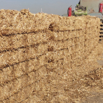 Straw