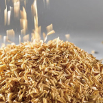 Rice husk