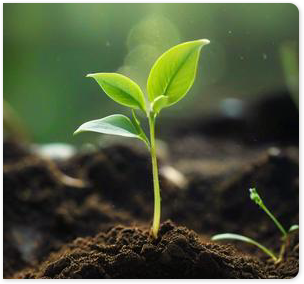 Carbon Capture and Sequestration Benefits