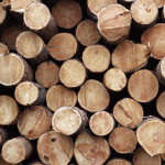 Troncos de madera