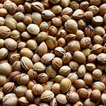 Noyau du fruit