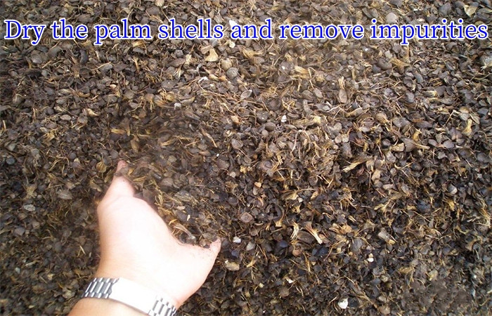 palm shells