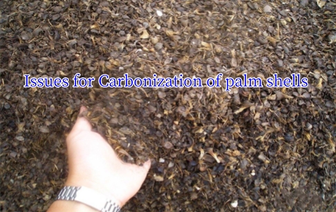 What issues should be paid attention to during the carbonization of palm shells?