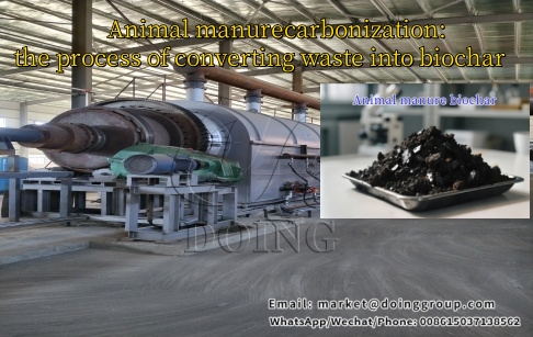 How to make charcoal from cow dung?