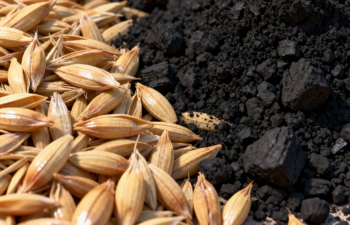 rice husk carbonization.jpg