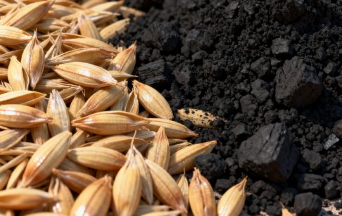 What pretreatment is needed before rice husk carbonization?