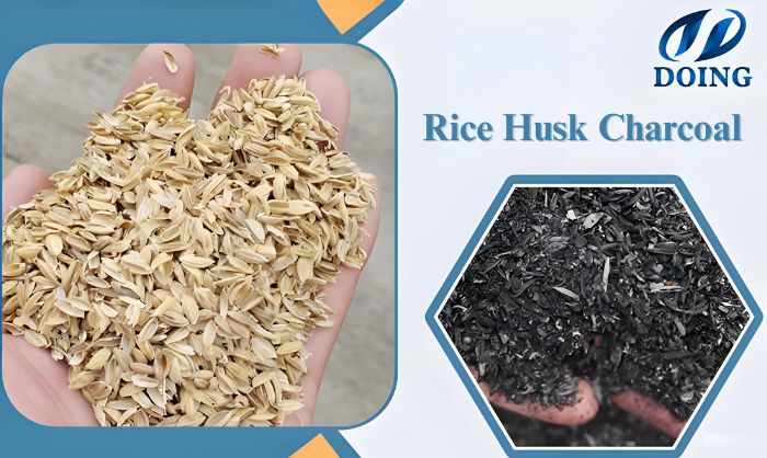 rice husk charcoal
