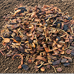 Dư lượng thuốc
